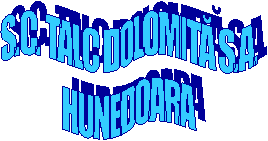 S.C. TALC DOLOMITĂ S.A.  HUNEDOARA